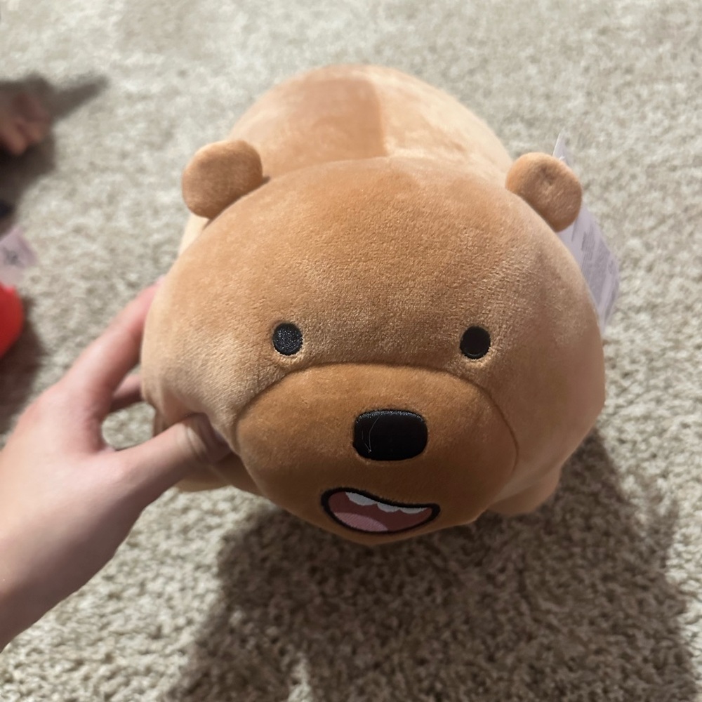 We bare bear brown bear